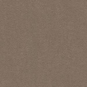 Detroit vivendi beigebruin 0485