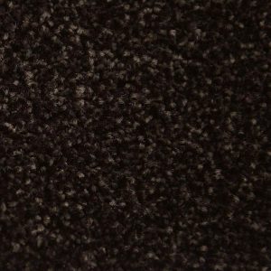 Alaska sepiabruin 0670