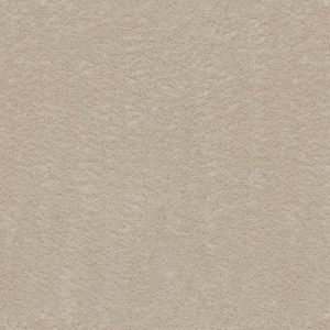 Austin champagne 0030