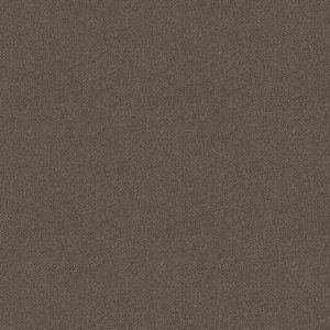 Acropool grijsbeige 0195