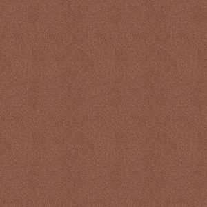 Acropool leembruin 0685