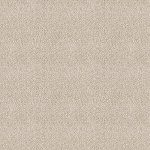 Amoroso champagne 0030