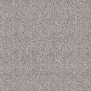 Amoroso parelgrijs 0105