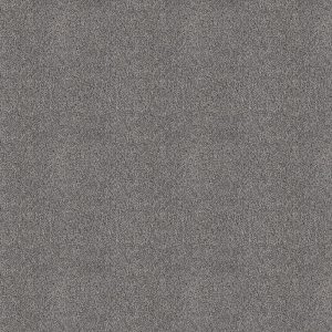 Amoroso muisgrijs 0115