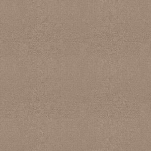 Charmant beigebruin 0485