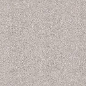 Magnifico parelgrijs 0105