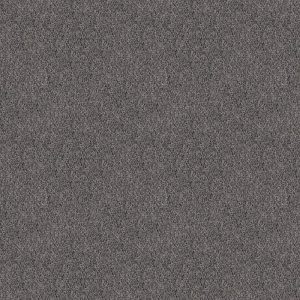 Magnifico olifant 0120