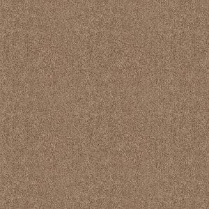 Magnifico caramel 0480