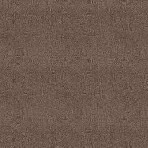 Nevada leembruin 0685